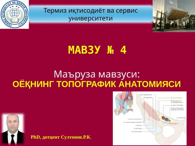 ОЁҚНИНГ ТОПОГРАФИК АНАТОМИЯСИ 1