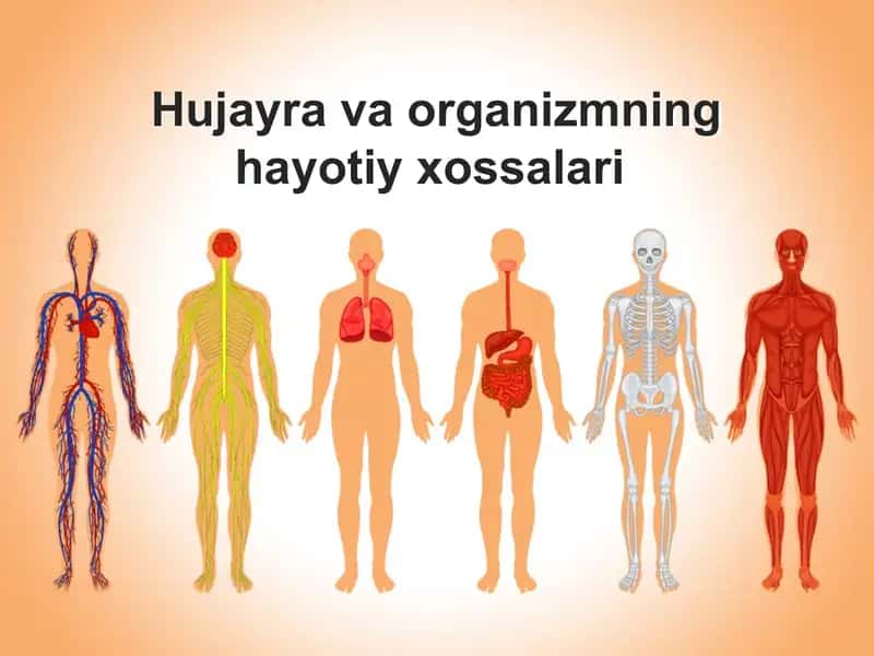 Hujayra va organizmning hayotiy xossalari 1