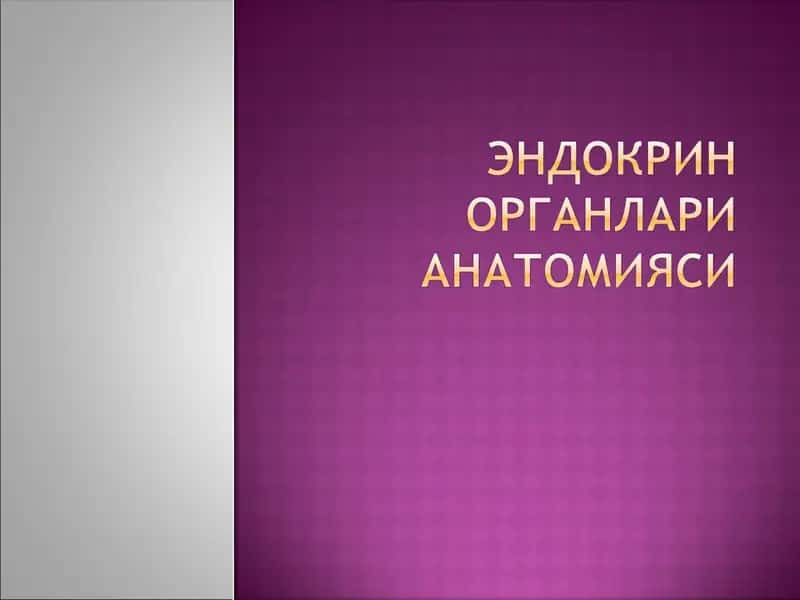 Гормонлар секрецияси назорати 1