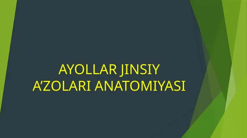 AYOLLAR JINSIY A'ZOLARI ANATOMIYASI 1