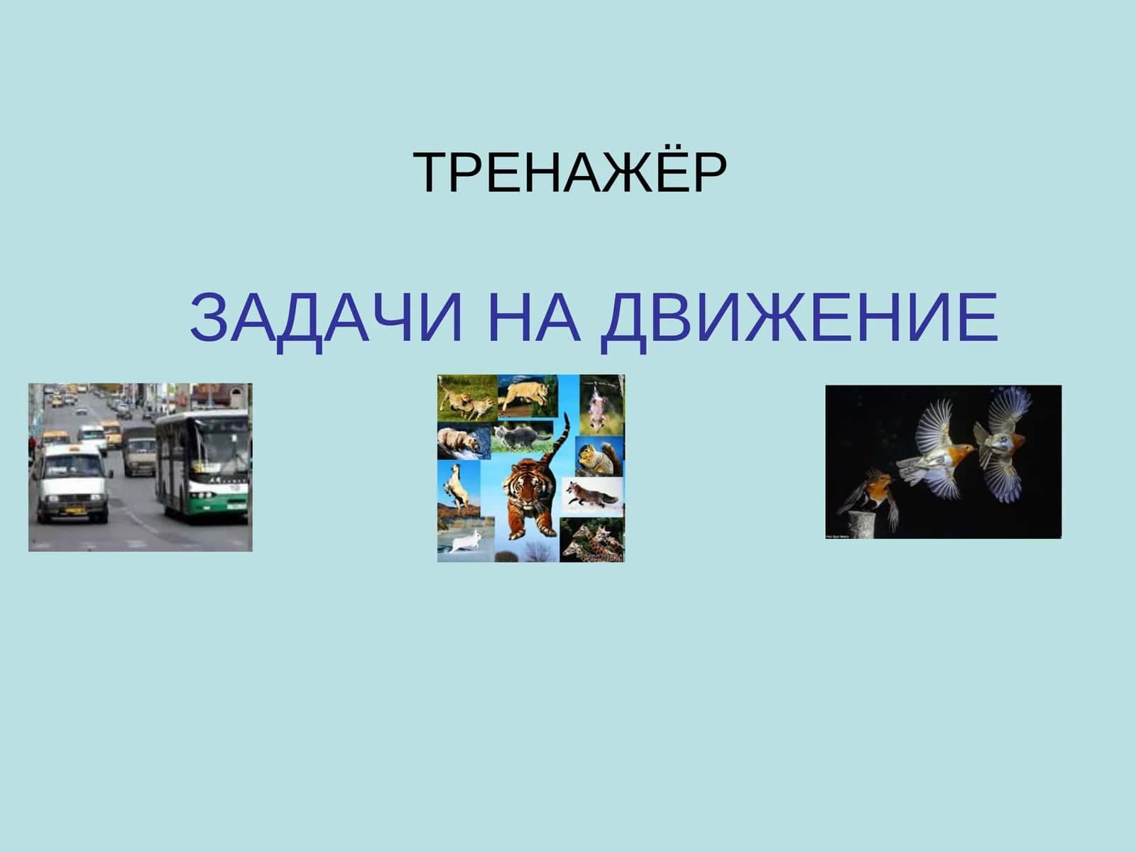 ТРЕНАЖЁР 1