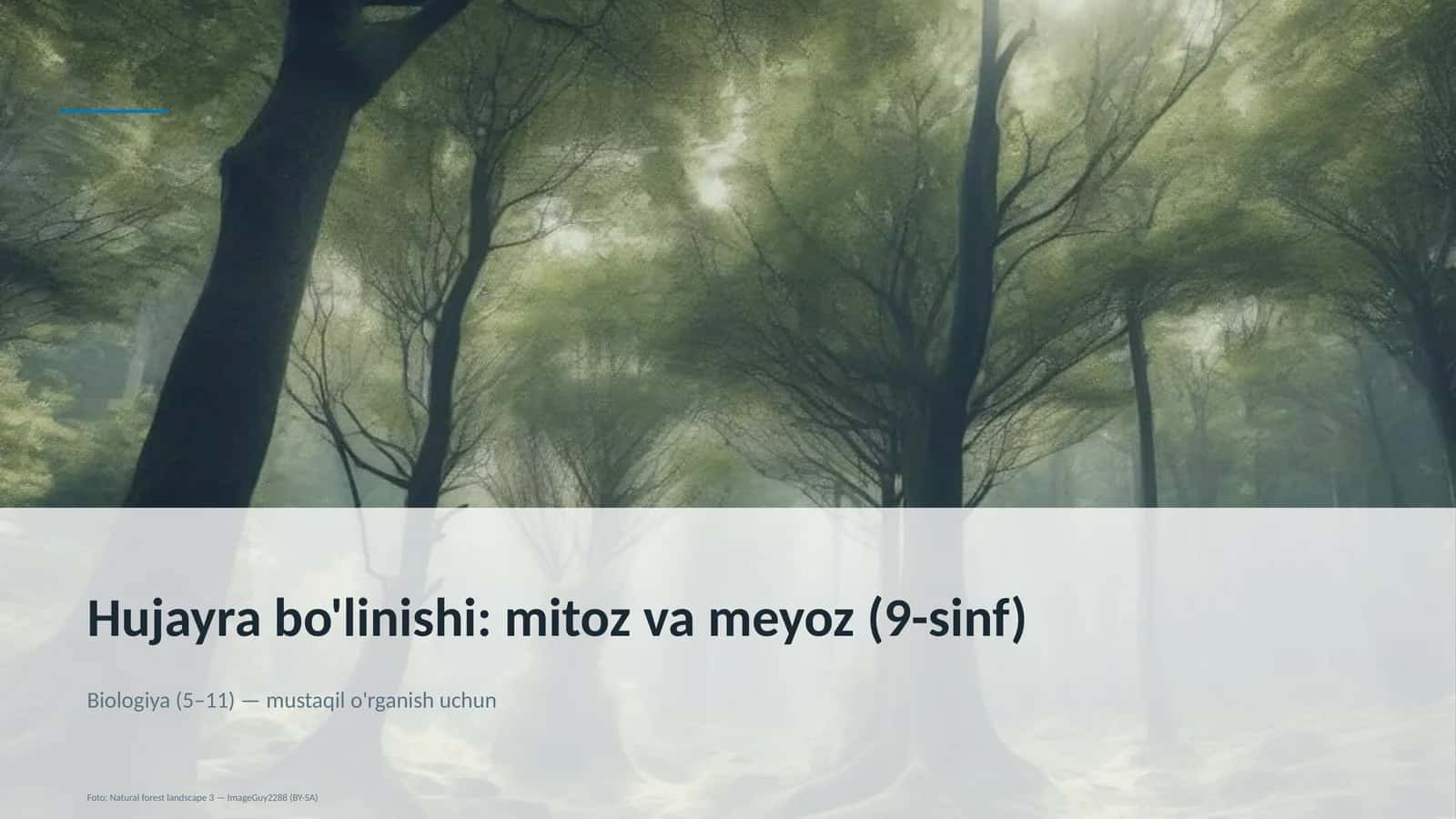 Hujayra bo'linishi: mitoz va meyoz (9-sinf) 1