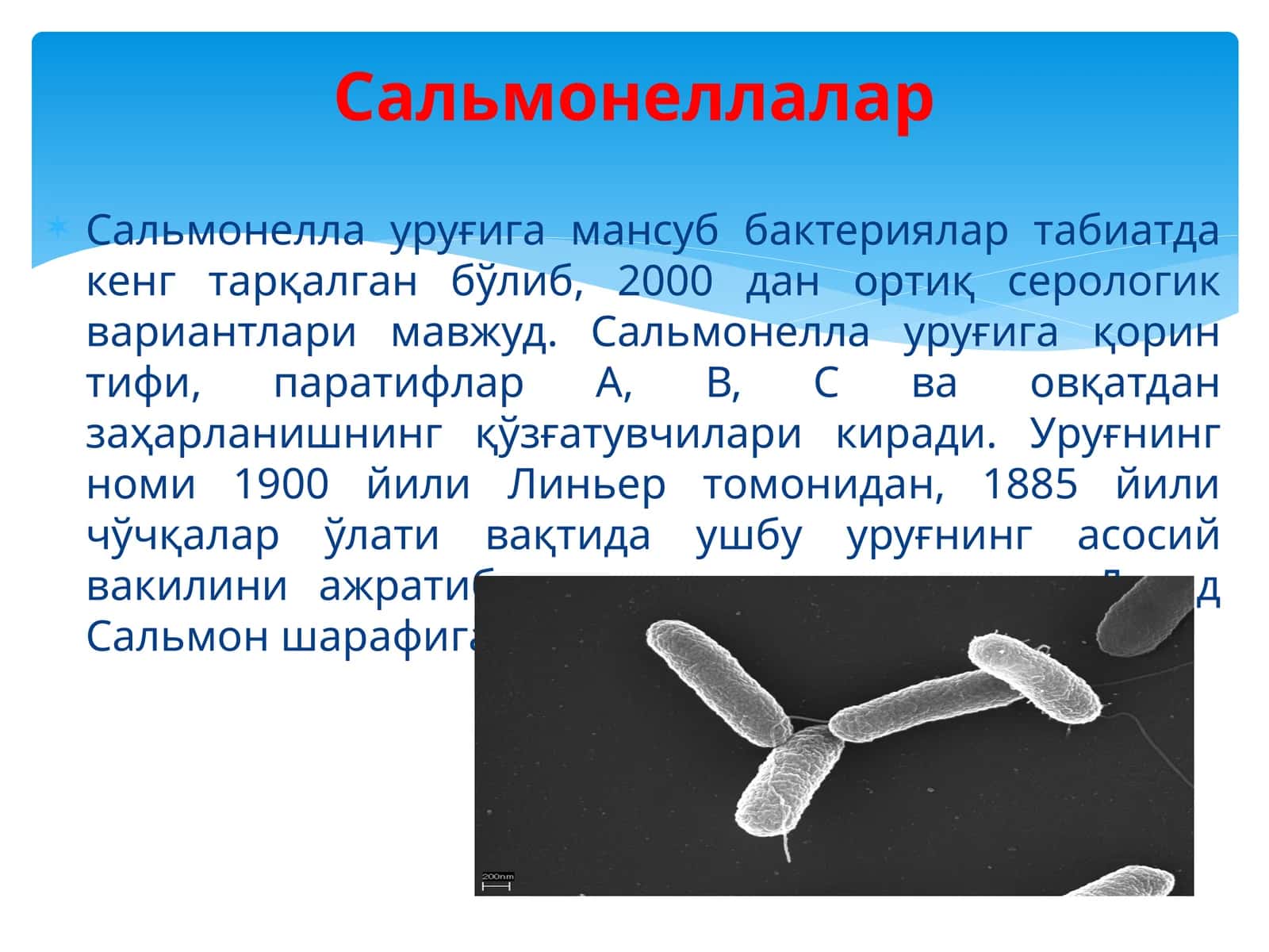 Сальмонеллалар 1