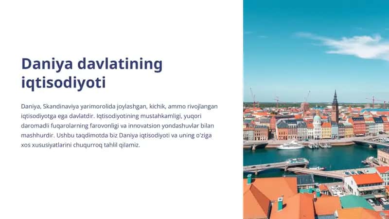 Daniya davlatining iqtisodiyoti 1
