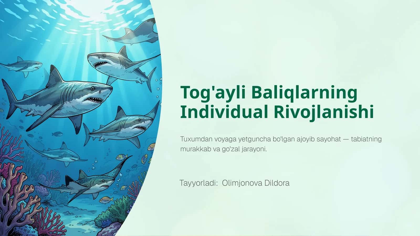 Tog'ayli Baliqlarning Individual Rivojlanishi 1