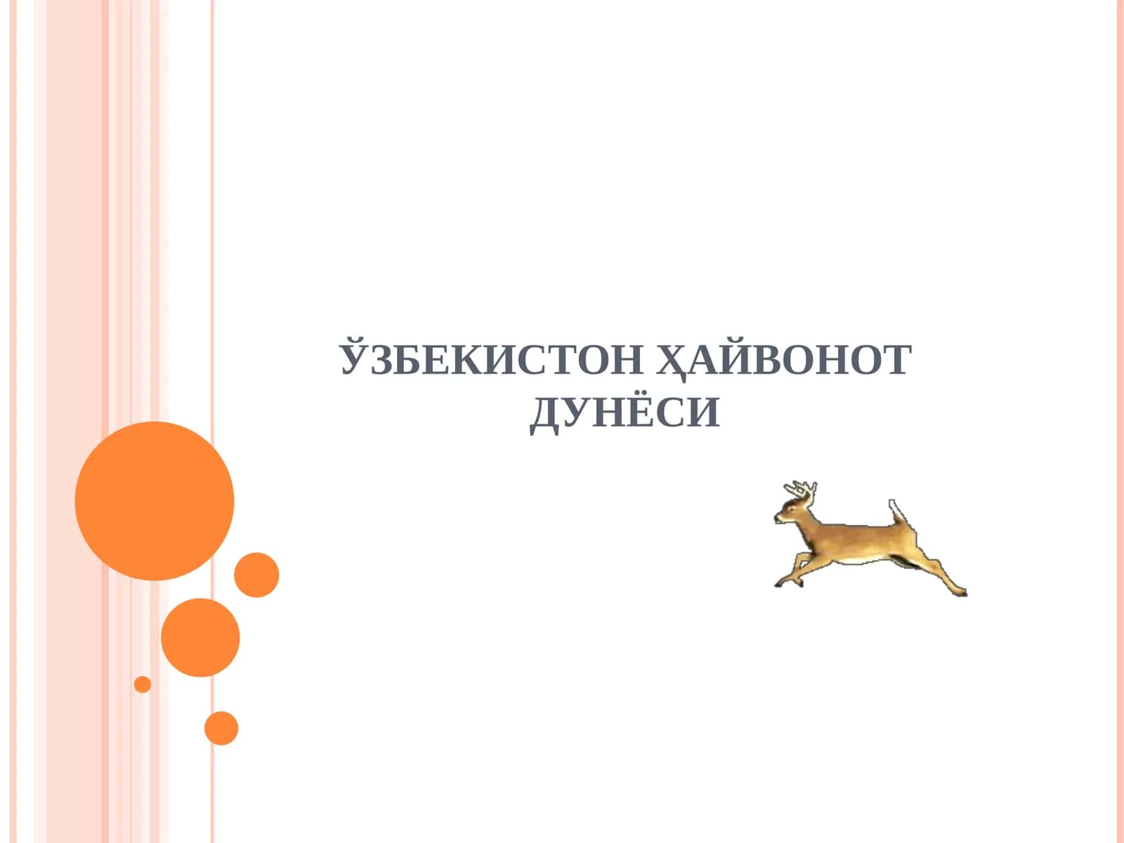 ЎЗБЕКИСТОН ҲАЙВОНОТ ДУНЁСИ 1