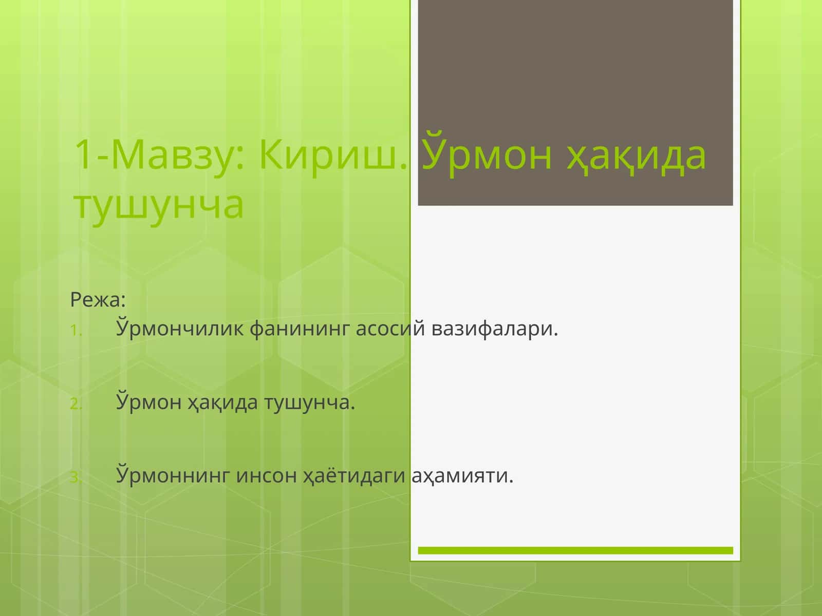 Ўрмон ҳақида тушунча 1
