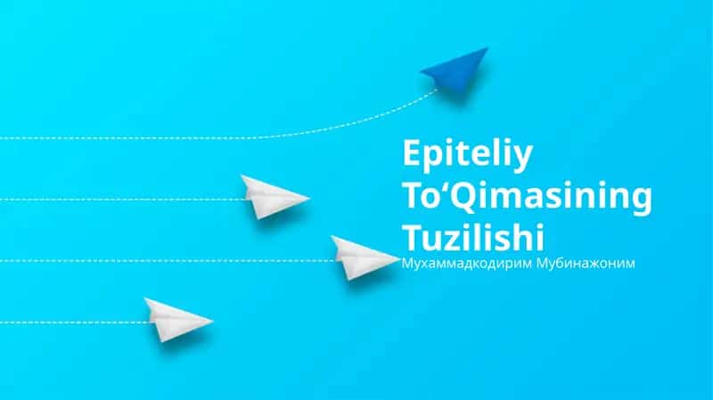 Epiteliy ToʻQimasining Tuzilishi 1
