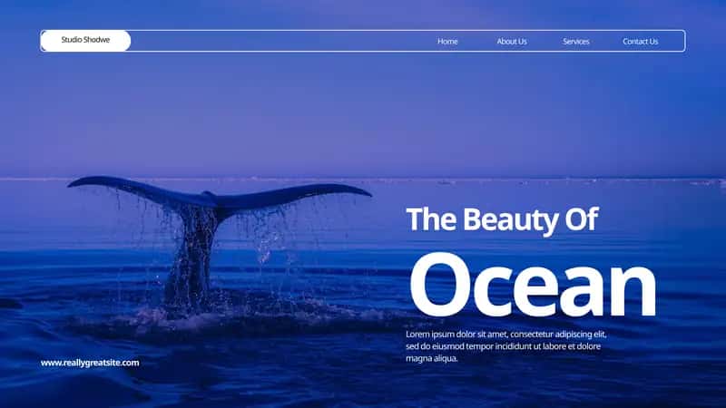 The beauty of Ocean 1