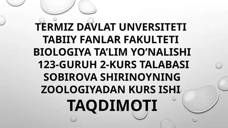 Sutemuzuvchilar haqida umumiy tushuncha 1