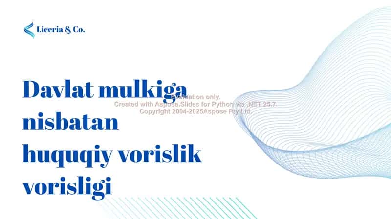 Davlat mulkiga nisbatan huquqiy vorislik vorisligi 1