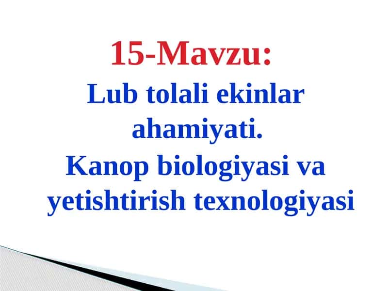 Lub Tolali Ekinlar Ahomiyati 1