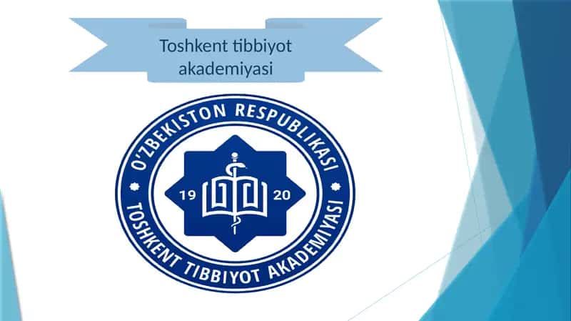 Kompyuter tarmoqlari 1