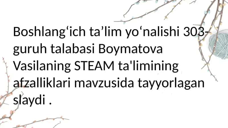 STEAM ta'limi 1