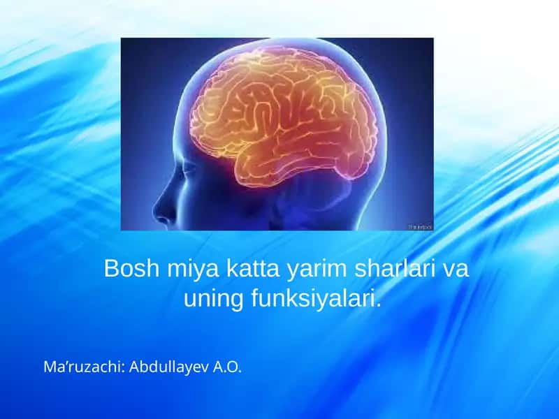 Boshmiyakattayarimsharlarivauningfunksiyalari 1