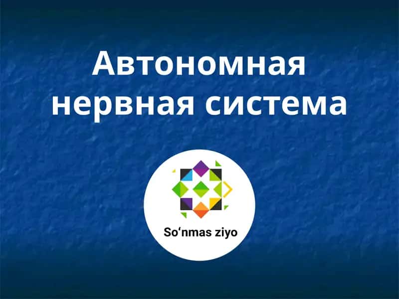 Автономная нервная система 1