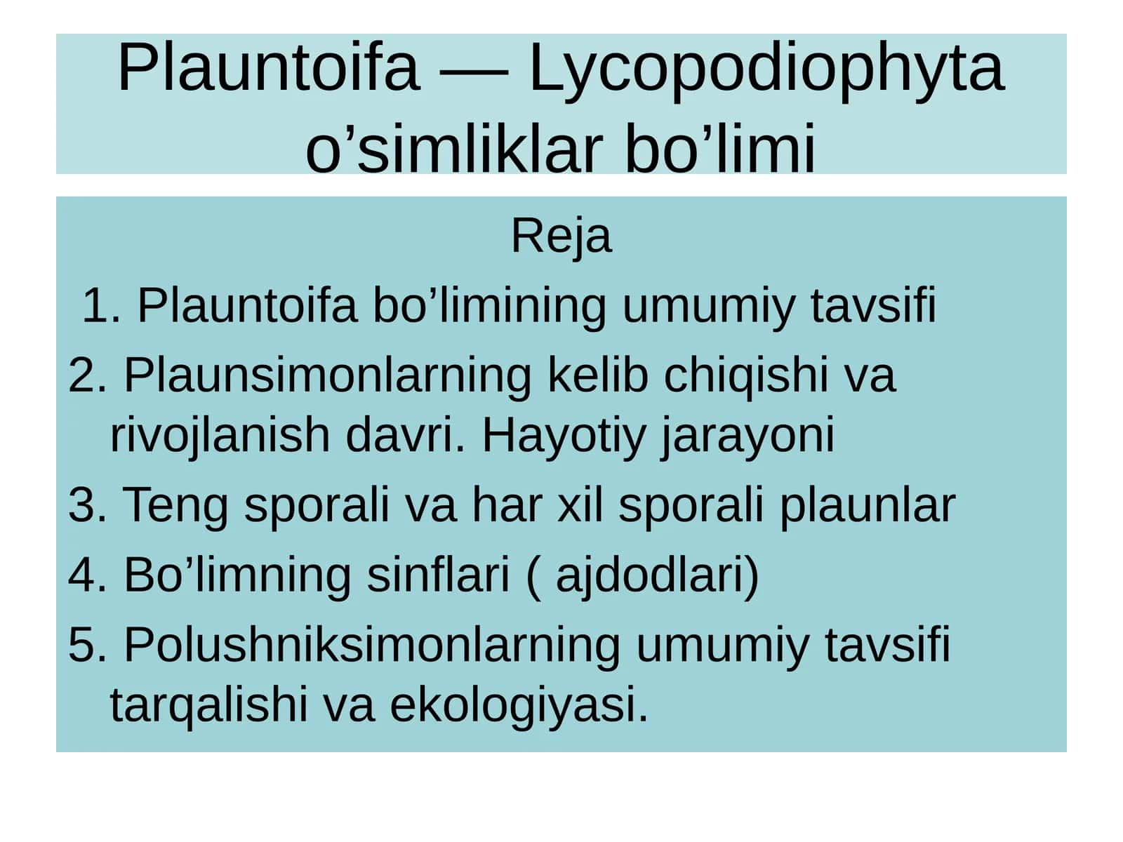 Plauntoifa — Lycopodiophytabo’limi 1