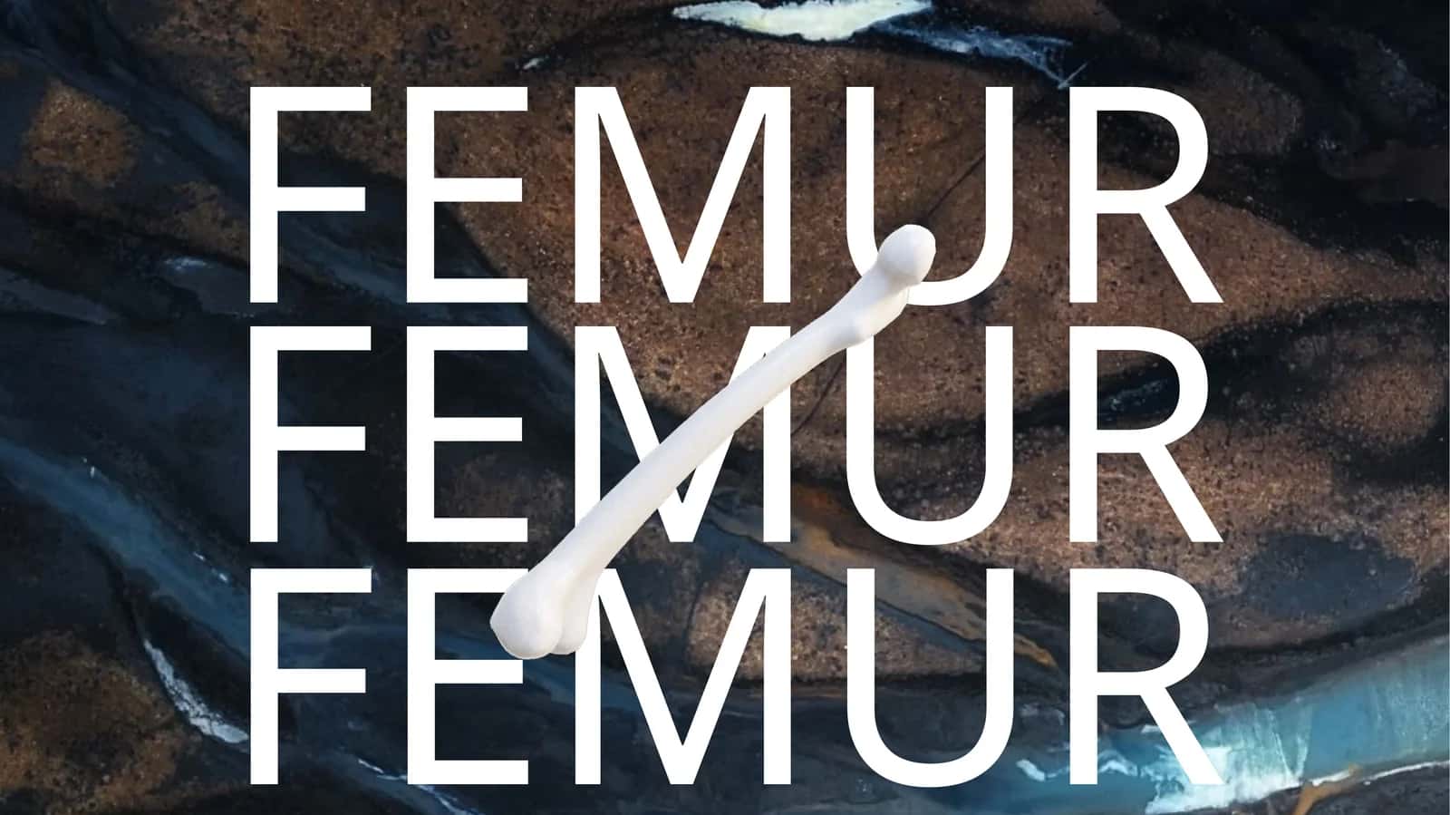 FEMUR 1