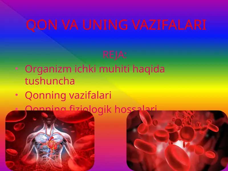 QON VA UNING VAZIFALARI 1