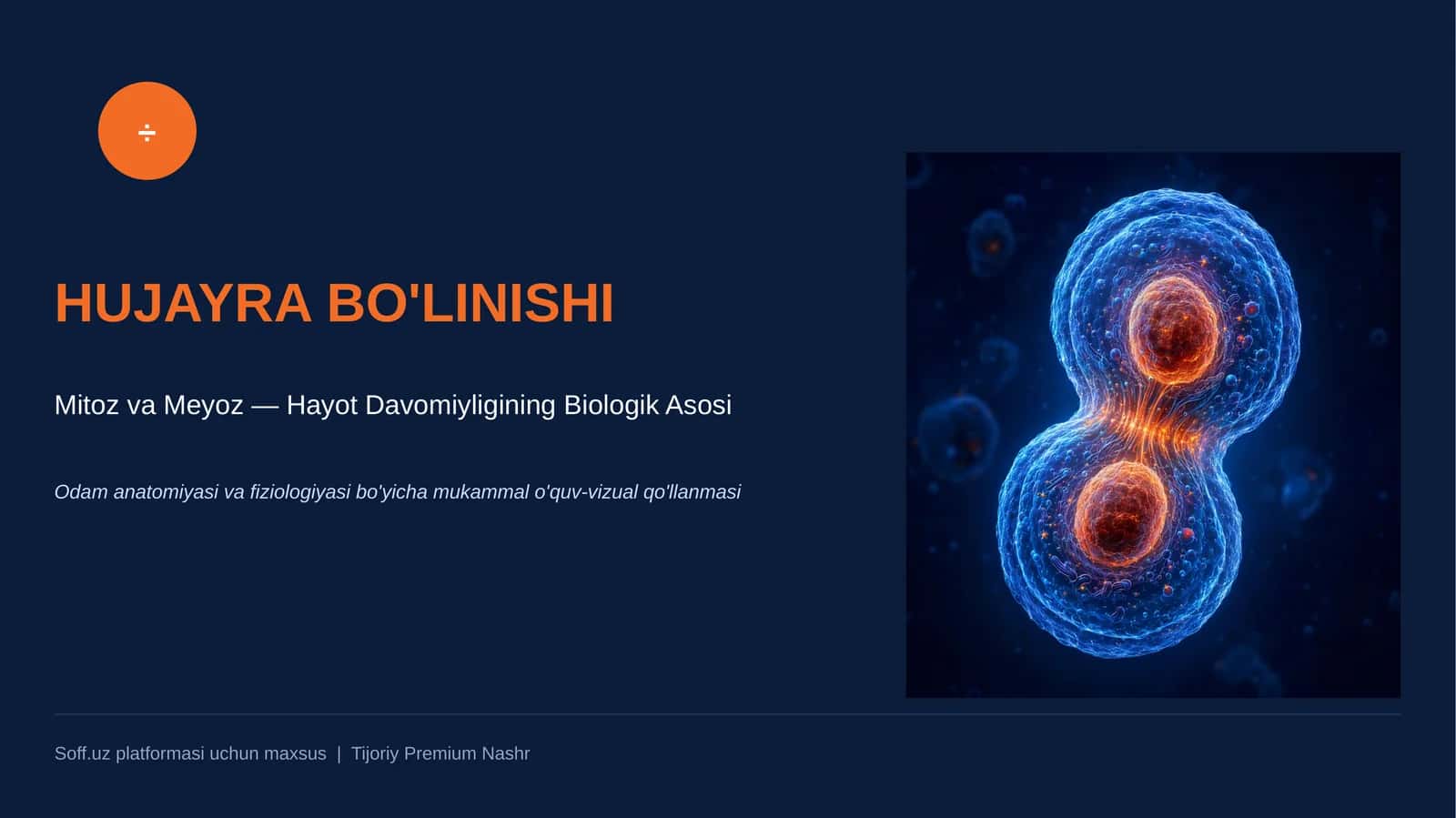 HUJAYRA BO'LINISHI 1