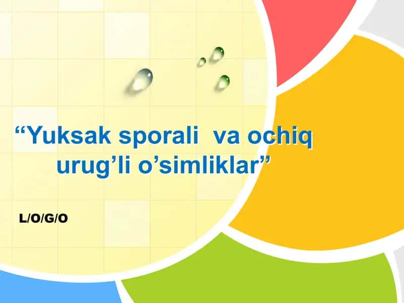 yuksak sporali o'simliklar 1