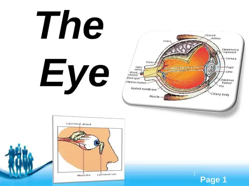 TheEye 1