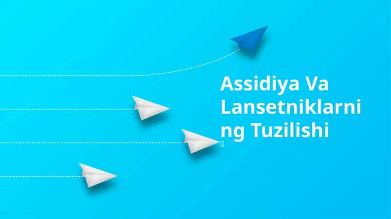 Assidiya Va Lansetniklarning Tuzilishi 1