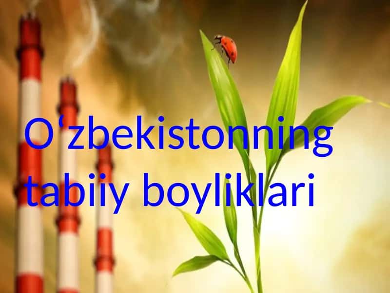 Oʻzbekistonning tabiiy boyliklari. Taqdimot 1