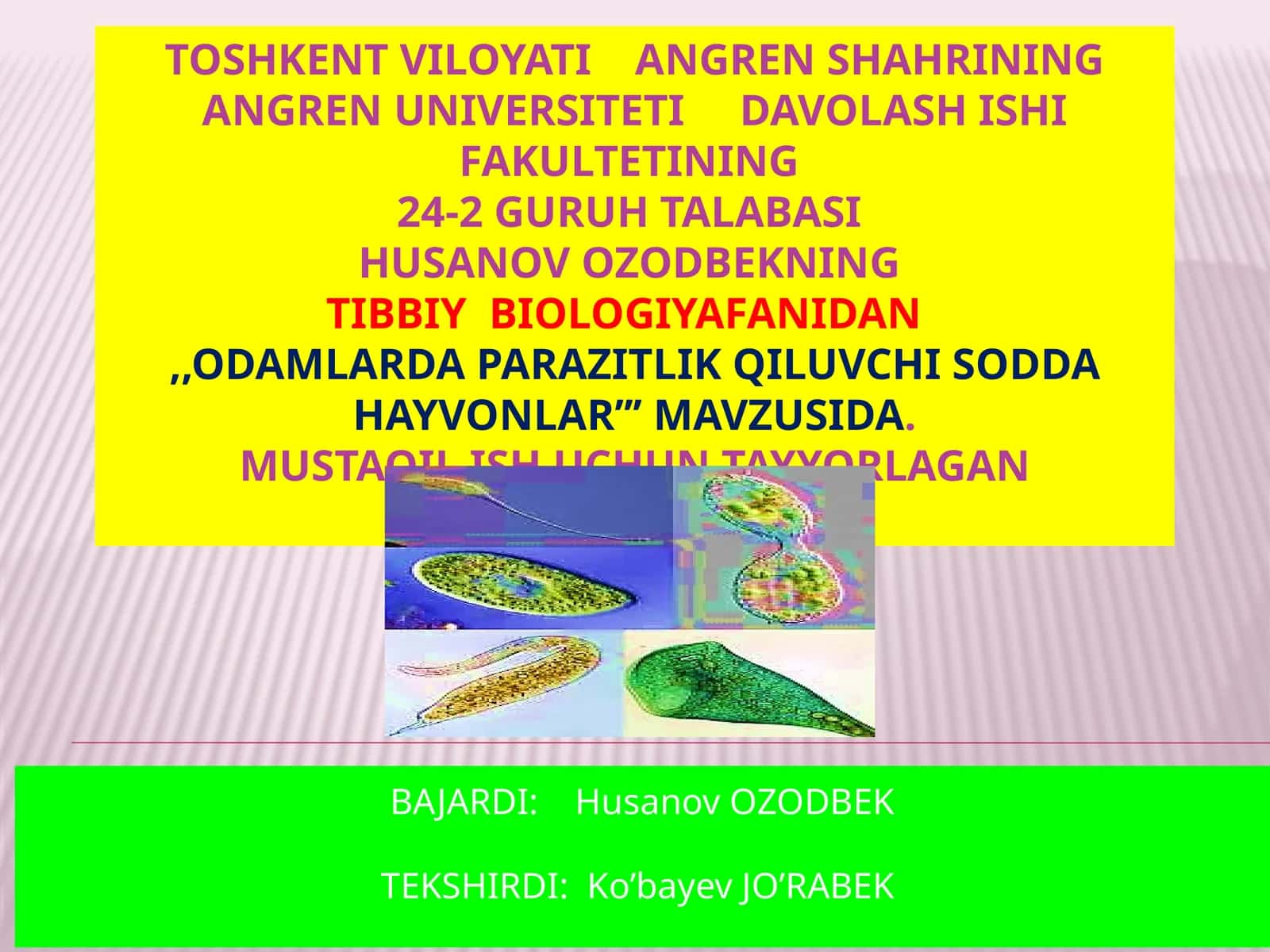 ODAMLARDA PARAZITLIK QILUVCHI SODDA HAYVONLAR 1