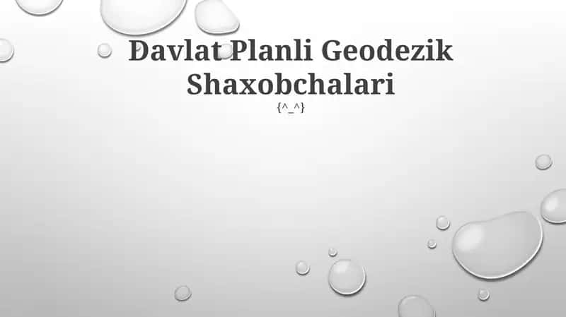 Davlat Planli Geodezik Shaxobchalari 1