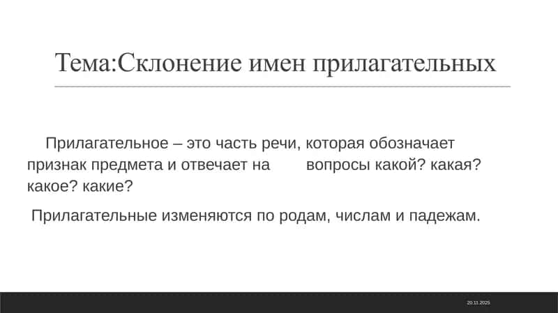 склонение имен прилагателных ppt 1