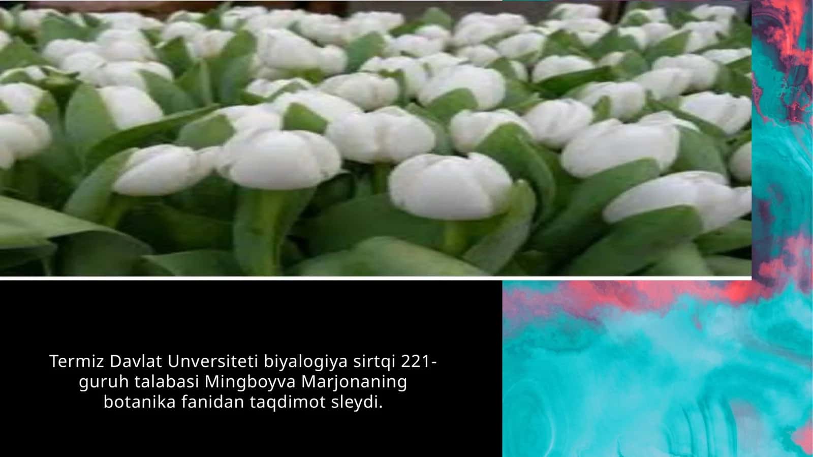 Botanika fanidan taqdimot 1