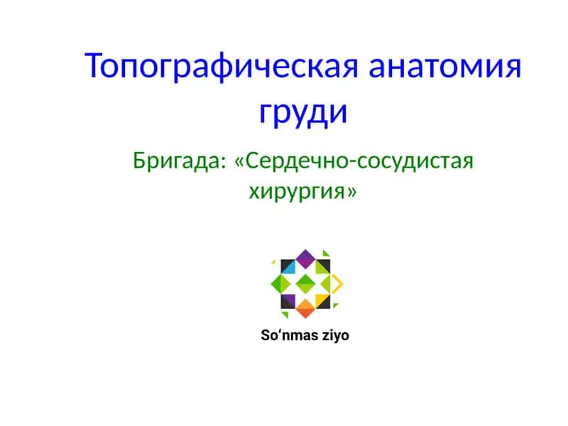 Топографическая анатомия груди 1