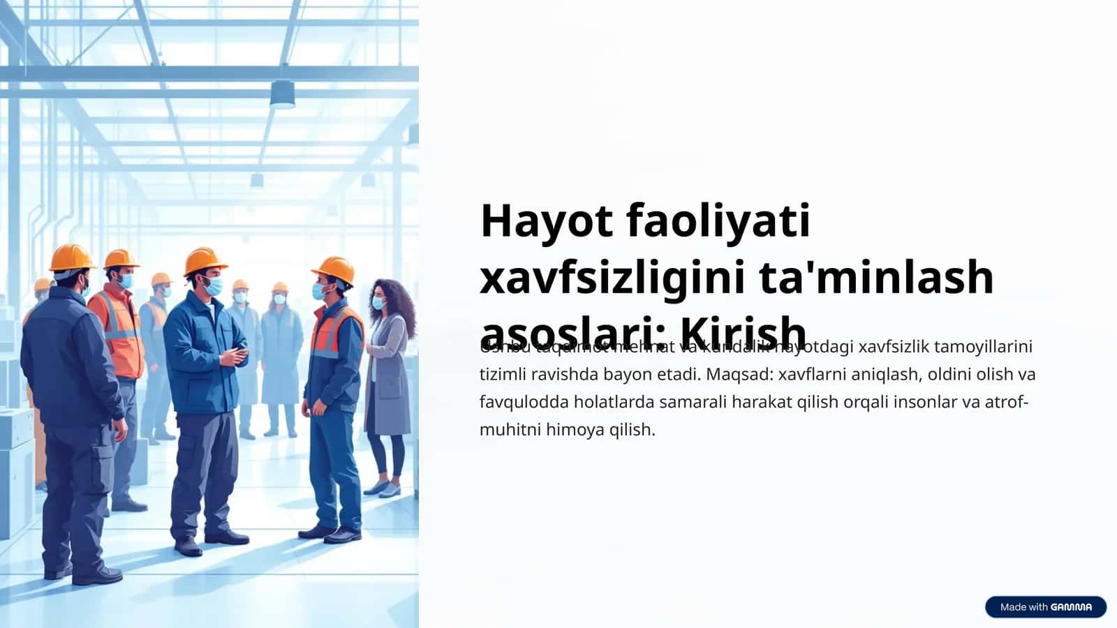 Hayot faoliyati xavfsizligini ta'minlash asoslari: Kirish 1