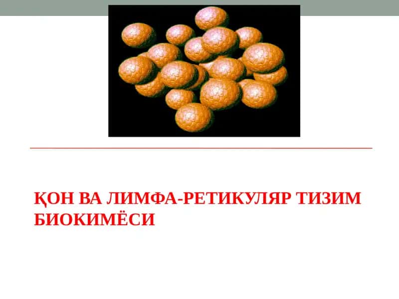 Қон ва лимфа-ретикуляр тизим биокимёси. 1