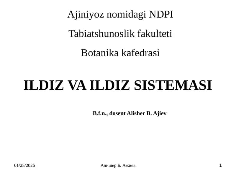 ILDIZ VA ILDIZ SISTEMASI 1