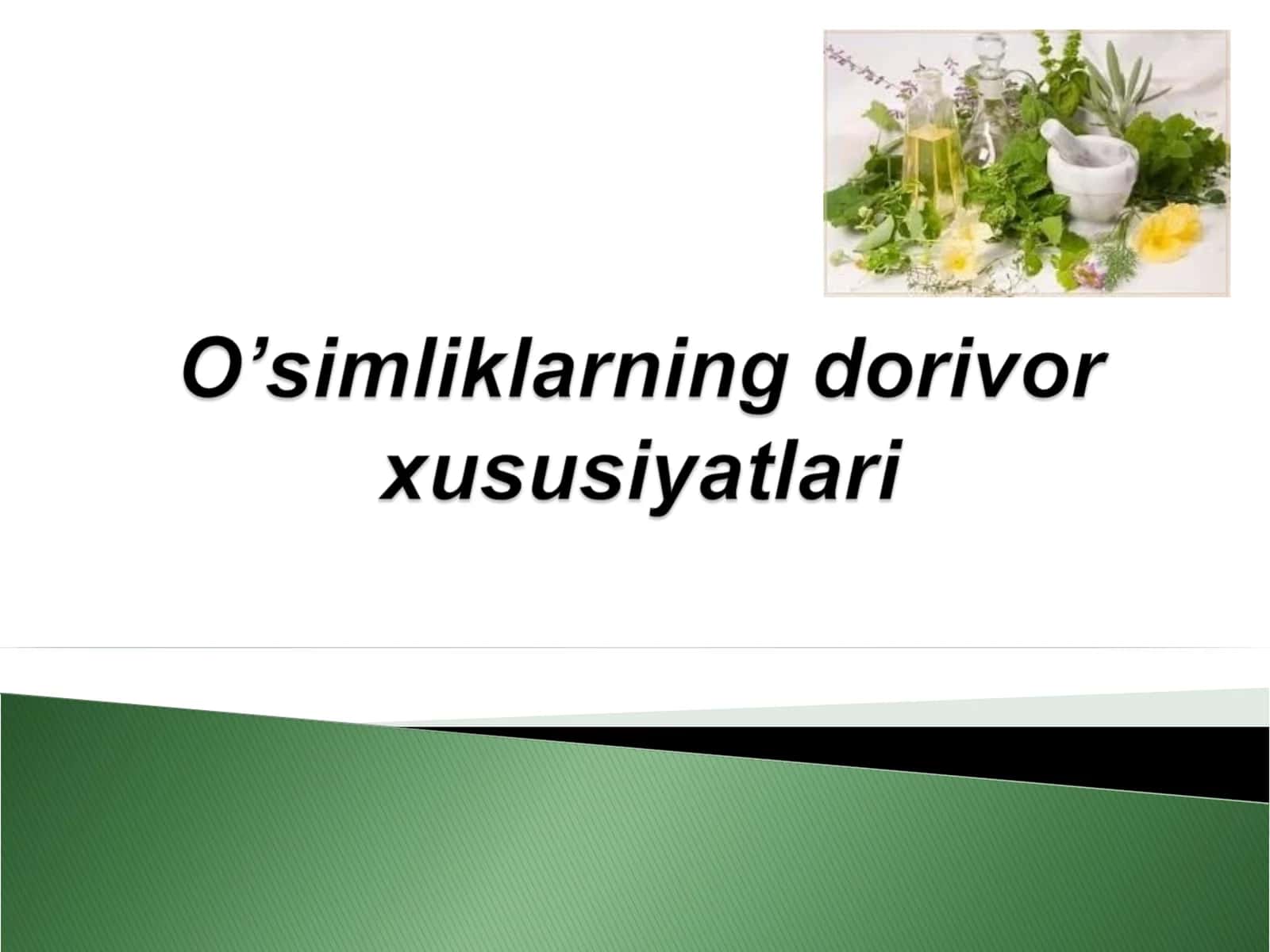 O'simlik haqida ma'lumot 1