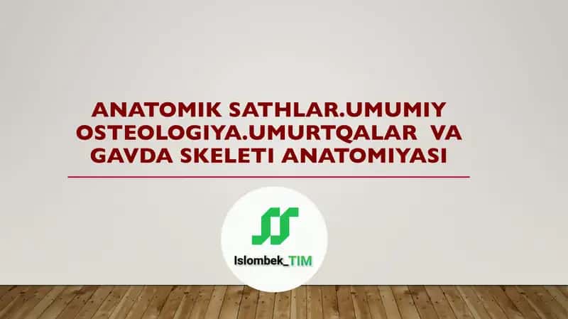 Anatomik sathlar. Umumiy osteologiya. Umurtqalar va gavda skeleti anatomiyasi 1