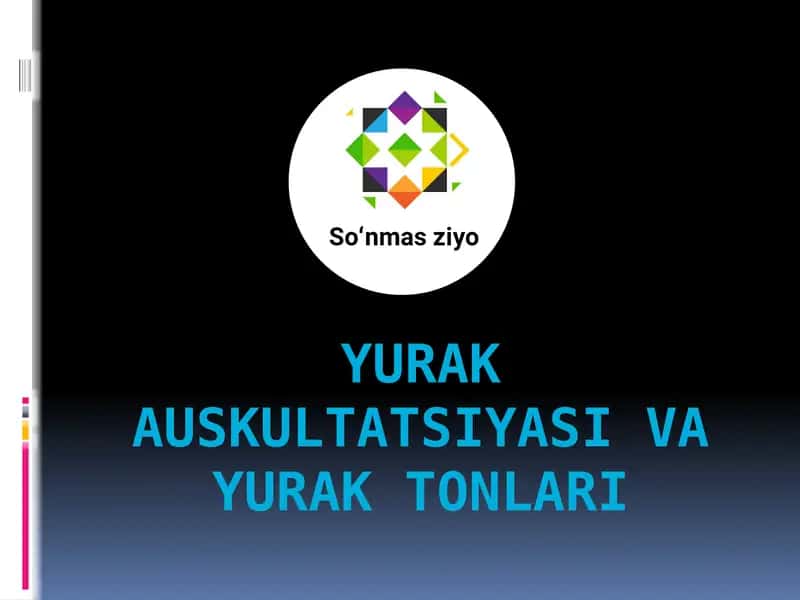 Yurak Auskultatsiyasi 1
