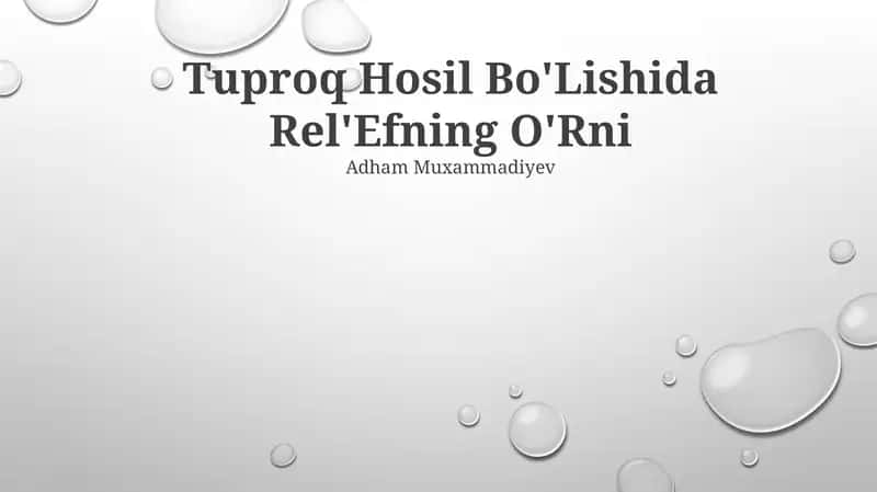 Tuproq Hosil Bo'Lishida Rel'Efning O'Rni 1