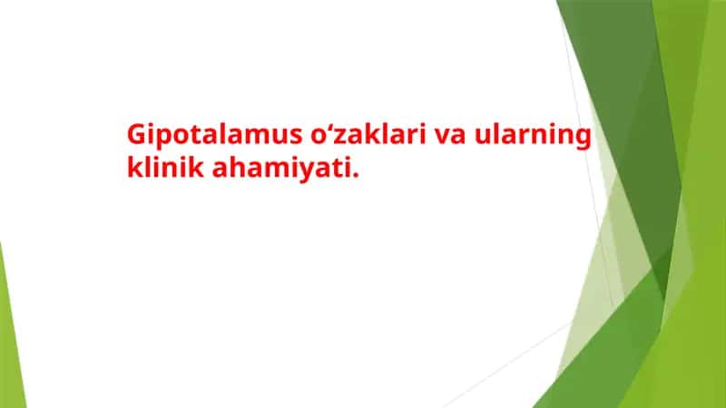 Gipotalamus: O'zaklar va Ularning Vazifasi 1