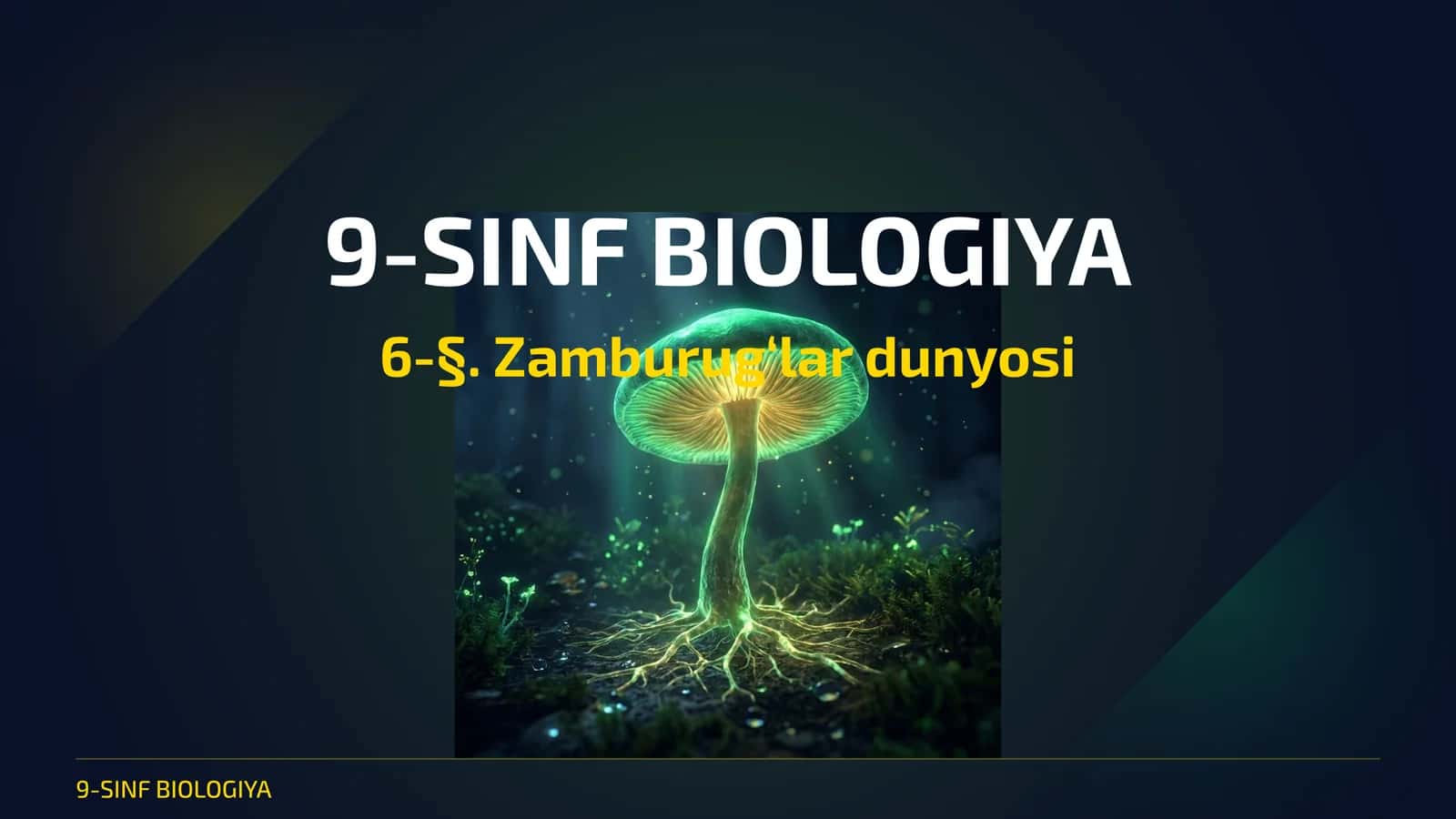 Zamburug‘lar dunyosi 1