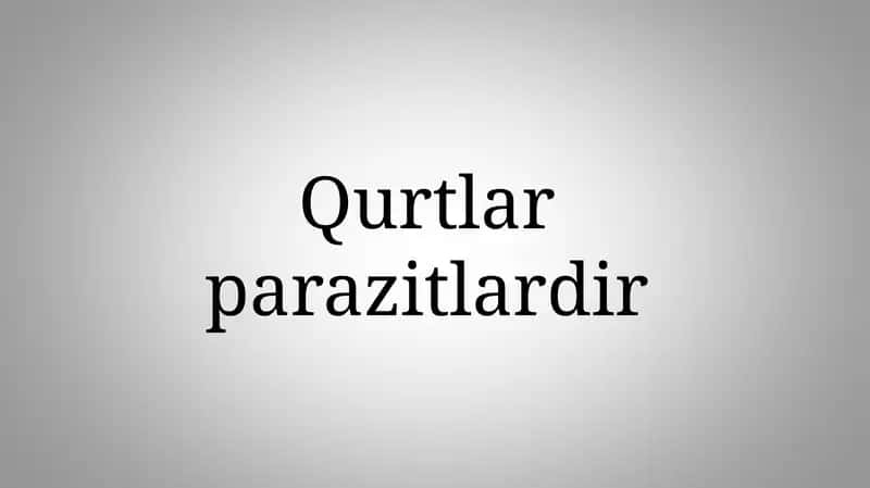 Qurtlar 1