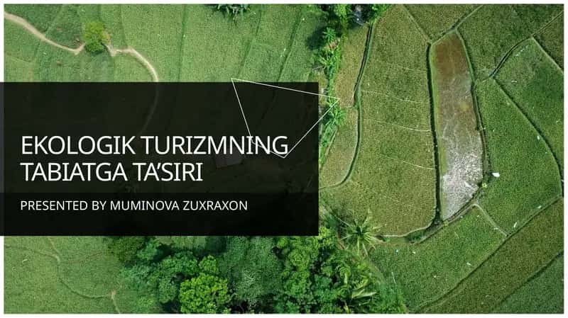 EKOLOGIK TURIZMNING TABIATGA TA’SIRI 1