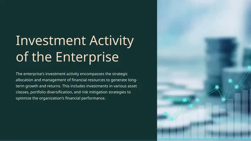 Enterprise Investment Activity 1