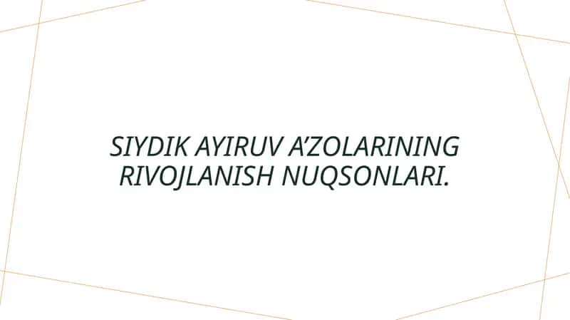 Siydik ayiruv a’zolarining rivojlanish nuqsonlari 1
