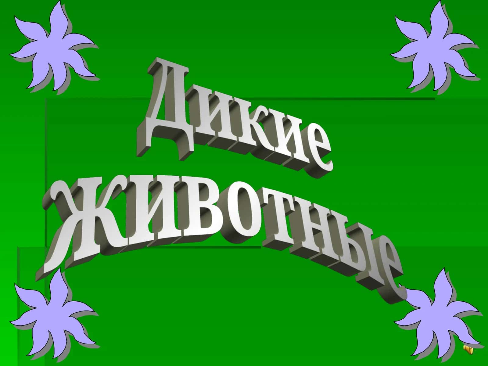 Тигр, Тигрёнок, Лев, Рысь 1