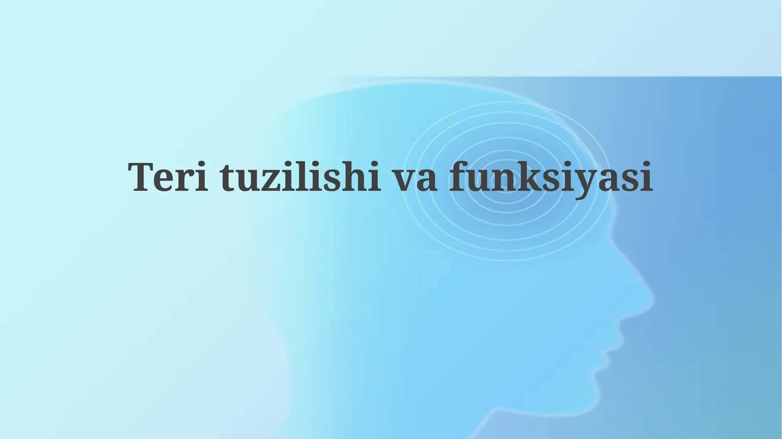 Terituzilishivafunksiyasi 1
