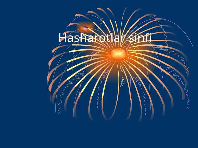 Hashorotlarning ko'payishi va rivojlanishi 1