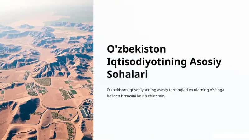 O'zbekiston Iqtisodiyotining Asosiy Sohalari 1